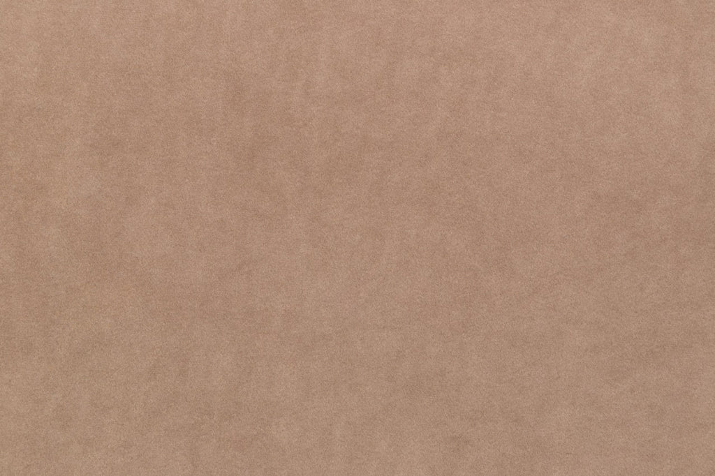 Olio L Ecksofa – mit Schlaffunktion und Bettkasten, pflegeleichter Salvador-Samtbezug