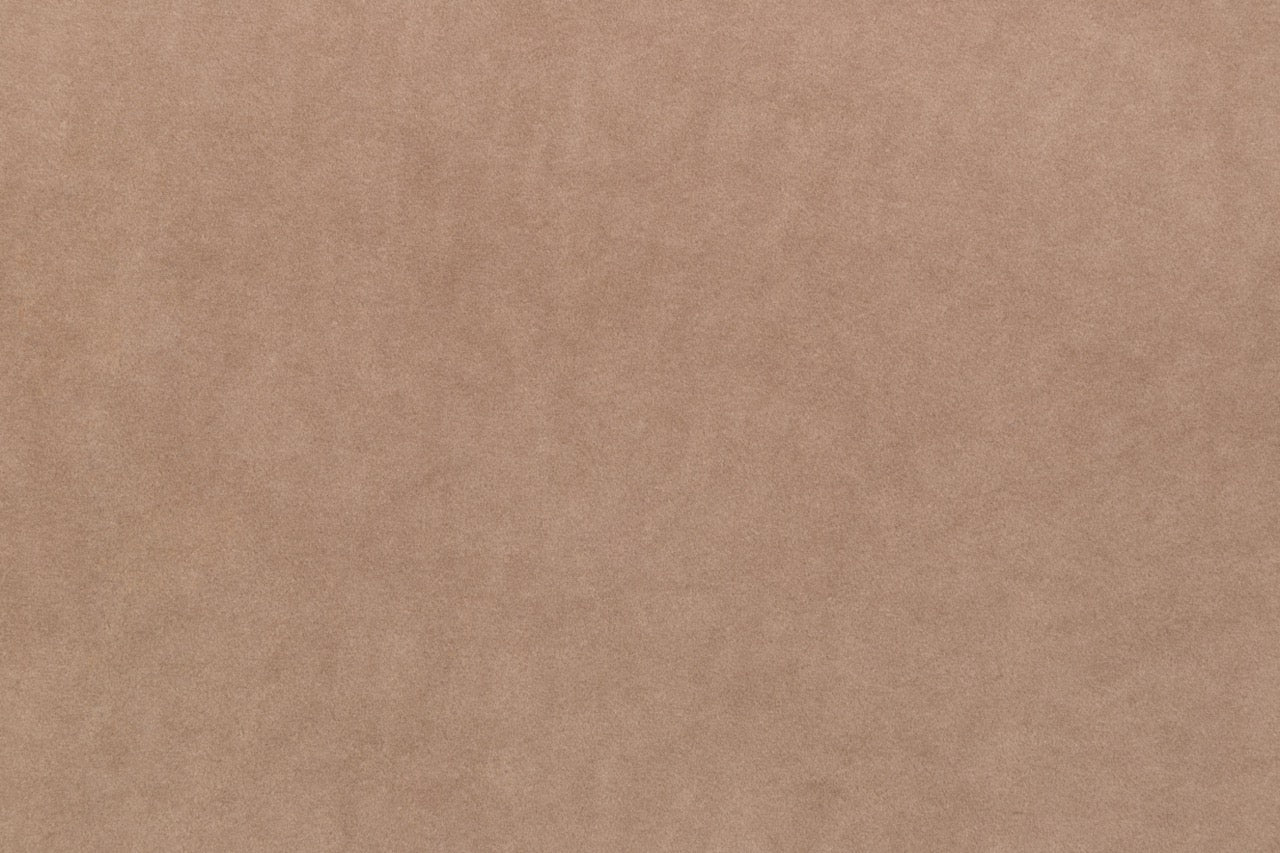 Olio L Ecksofa – mit Schlaffunktion und Bettkasten, pflegeleichter Salvador-Samtbezug