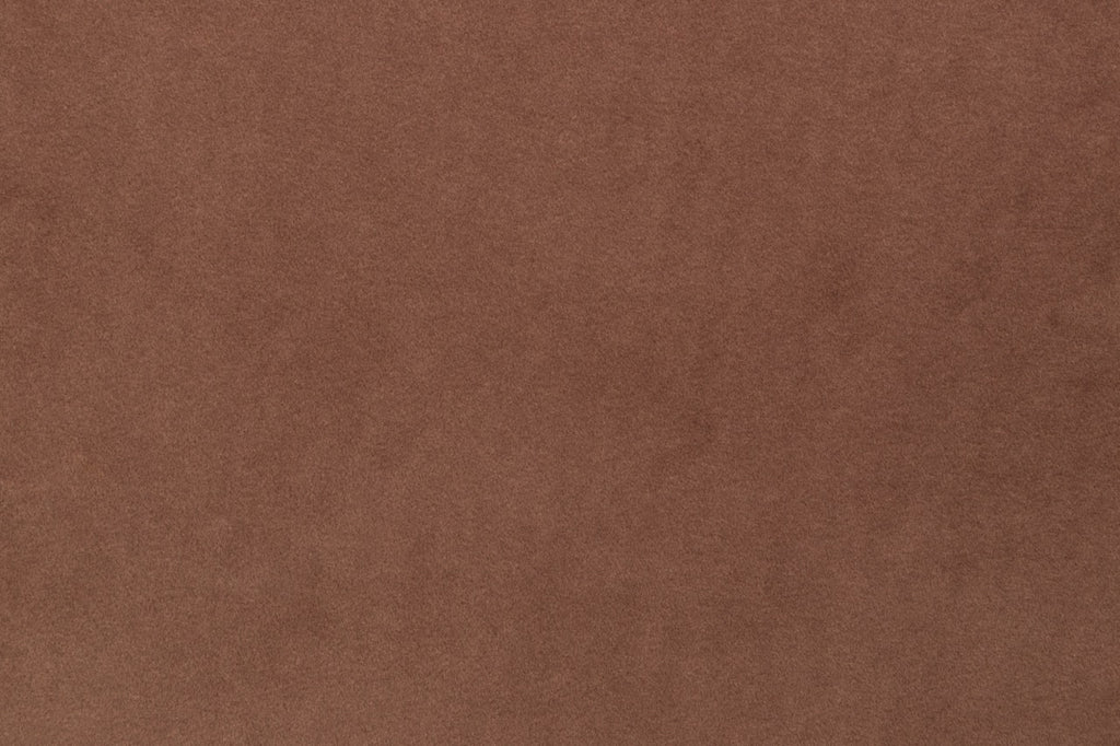 Olio L Ecksofa – mit Schlaffunktion und Bettkasten, pflegeleichter Salvador-Samtbezug