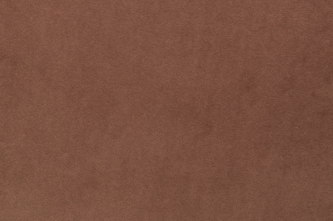 Olio L Ecksofa – mit Schlaffunktion und Bettkasten, pflegeleichter Salvador-Samtbezug