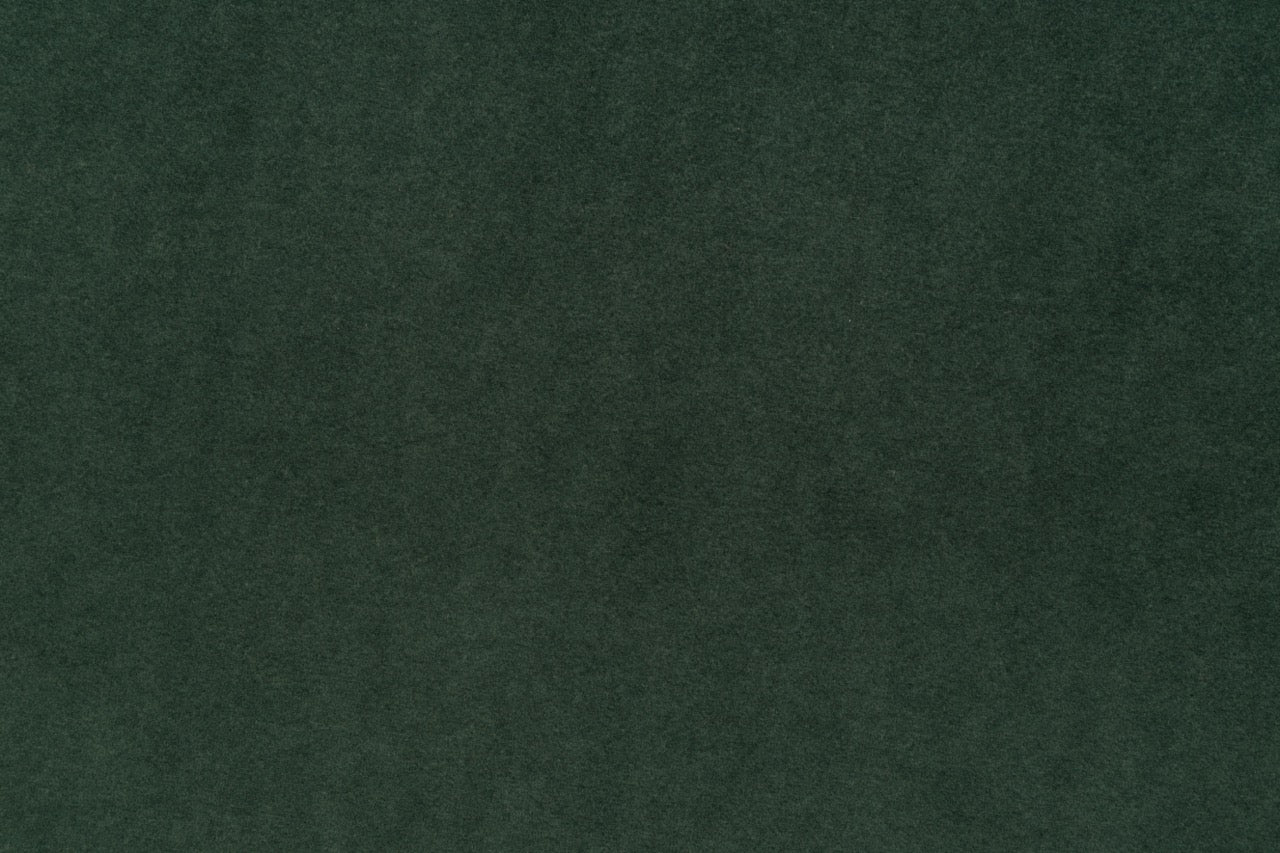 Olio L Ecksofa – mit Schlaffunktion und Bettkasten, pflegeleichter Salvador-Samtbezug