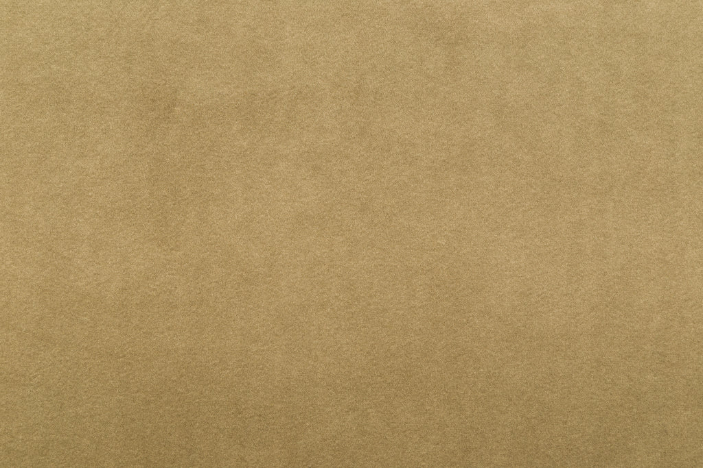 Olio L Ecksofa – mit Schlaffunktion und Bettkasten, pflegeleichter Salvador-Samtbezug