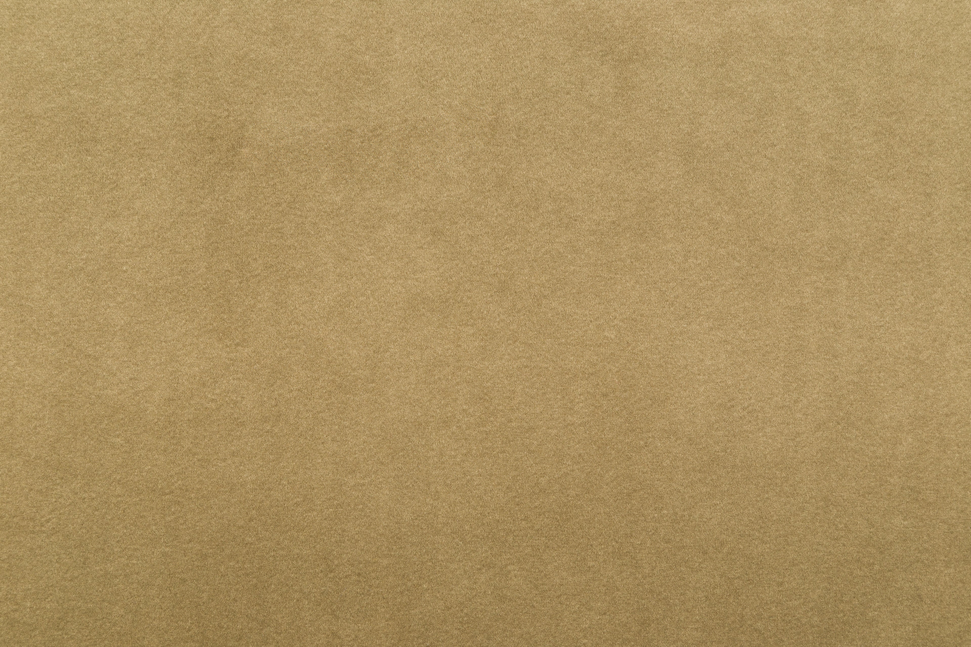 Olio L Ecksofa – mit Schlaffunktion und Bettkasten, pflegeleichter Salvador-Samtbezug